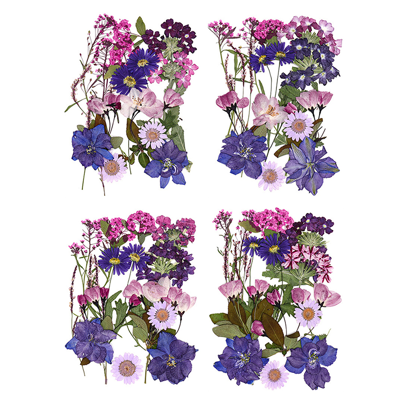Dried Flowers Real Natural Pla - Jewelry Making For Birthday Party recensie en prijs